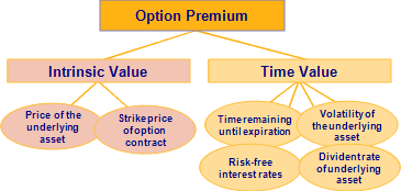 Determining the Value and Time Value of an Option